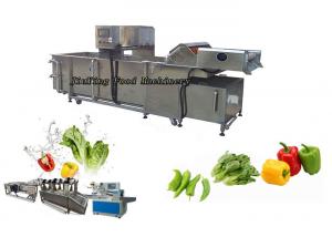 China Customized Vegetable Fruit Washing Machine Salad Lemon Orange Parsley Washer on sale