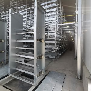 Best 1.25m Hens Poultry Manure Removal System 3-8tiers Automated wholesale