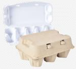 Paper Egg Tray Manufacturing Machine with Heating Oven High Speed 4000PCS / H