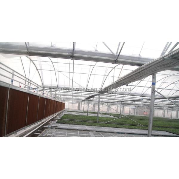 Namibia Africa Gutter Connected Greenhouse with Optimal Ventilation and Single Layer