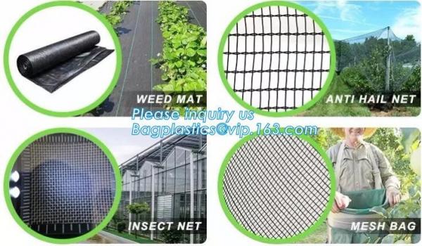 Anti Insect Net For Vegetable Supplier In China,Greenhouse Insect Net /garden netting for ventilation proof, bagease, pa