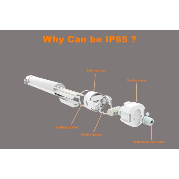 Linkable 3FT 30W SMD 2835 LED Tri Proof Light For Office