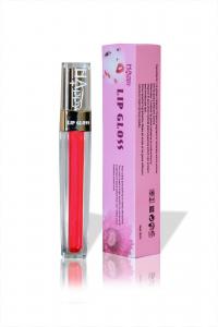 Best ODM OEM Long Lasting Waterproof Lip Gloss Lip Treatment Gloss wholesale