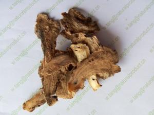 Best Chinese Angelica sinensis root cuts slices Radix Angelicae Sinensis Oliv Diels Herb medicine Dang gui wholesale