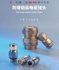 China Waterproof IP68 Cable Gland PA66 brase Stainless steel on sale