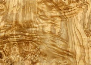 Best Olive Ash Burl Natural Wood Veneer for Panel Door and Furniture Industry from www.shunfang-veneer-com.ecer.com wholesale
