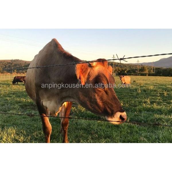 Double Twist PVC Barbed Wire Razor Wire at Affordable for 7.5cm-15cm Barb Distance