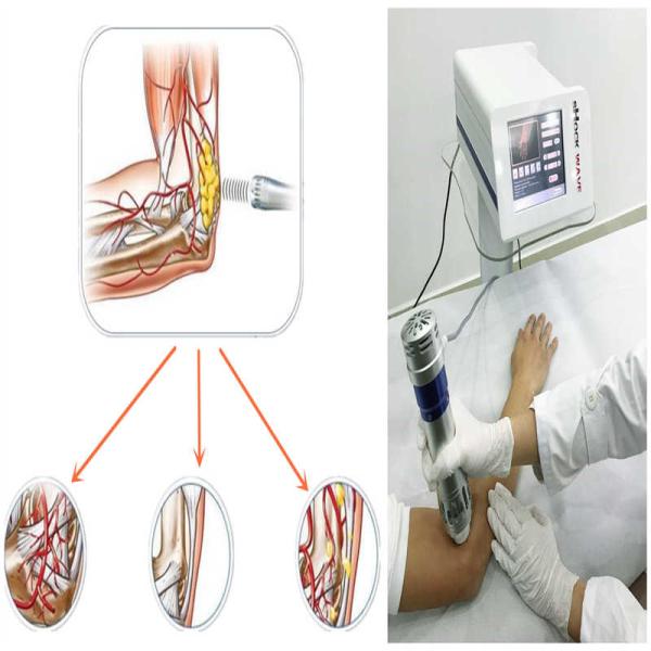 Compact Size Electromagnetic Therapy Machine With 8 Inch Touch Screen