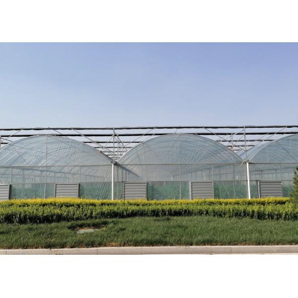 10000m2 Big Span Agriculture Multi Span Greenhouse Plastic Film Green House For Hydroponic Growing