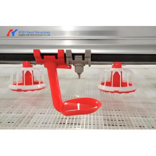 Customized Plastic Broiler Cage Equipment Automatic Poultry Breeding Equipment