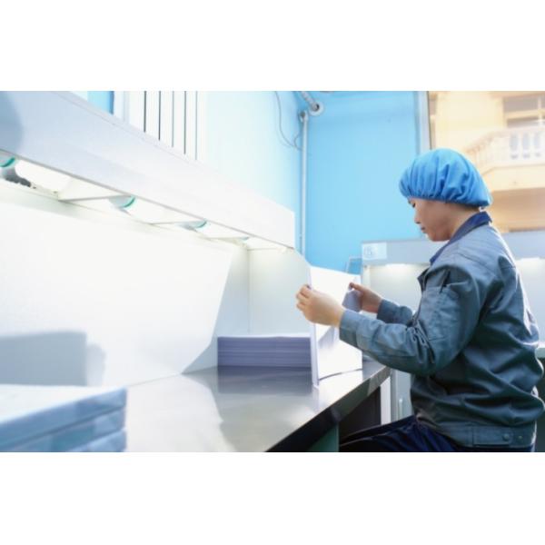 0.1mm A4 Size Transparent PVC Coated Overlay