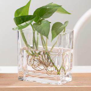 Best Transparent 350ml Home Decoration Glass Pressed Small Rectangle Glass Vase wholesale