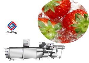 Auto Vegetable Fruit Washing Machine Salad Spinach Strawberry Cleaning