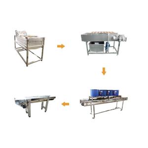 Best Full Automatic Vegetable Processing Equipment Fruit Processing Line wholesale