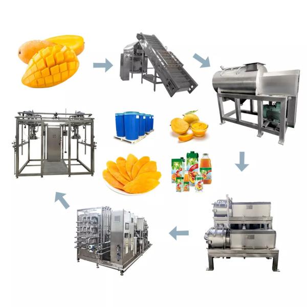 One-Stop Service Customized 1000-30000l/H Mango Processing Line Mango Juice/Sauce/Jam Machine With PLC Mango Pulp Equipment