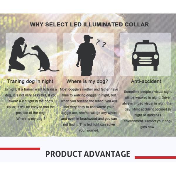 Wholesale waterproof usb rechargeable led dog collar