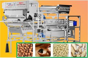 China Lower Damage Peanuts Sorting Machine Remote Control 99% Accuracy on sale