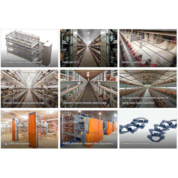 Multi Floor Large Scale Chicken Coop Shed Farm House Warehouse with Aluminum Alloy Window