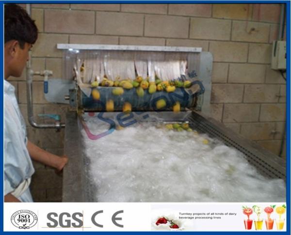 Cheap Pineapple Mango Processing Line , Fruit Juice Mango Pulp Processing Plant for sale