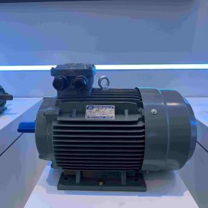 Best Medium And High Voltage Induction Motors 6KV Waterproof wholesale