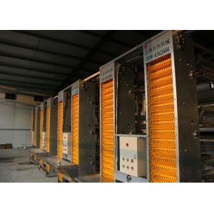 Best High Technology Automatic Egg Collection System 15-20 Years Lifespan wholesale
