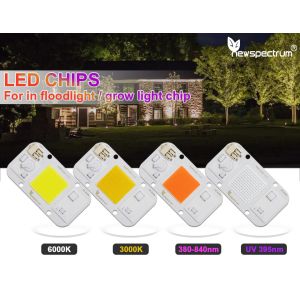Best 3000K Uv Light Module wholesale