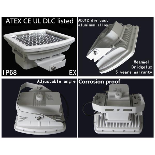 Explosion Proof LED Lighting -300 Floodlight ATEX IECEx