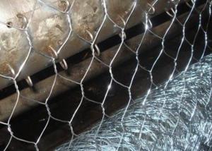 Best Hexagonal Galvanized Chicken Wire Mesh BWG 12 3/4&quot; wholesale