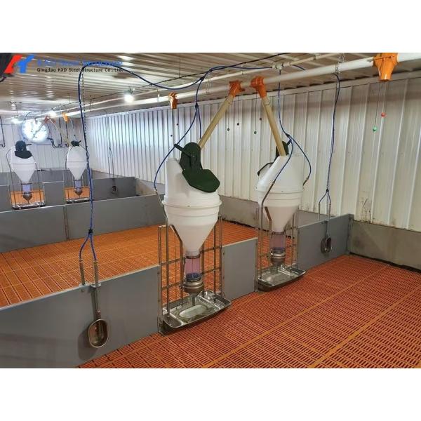 Customized Piggery Farm Equipment Fully Automatic Pig Wet Dry Feeder
