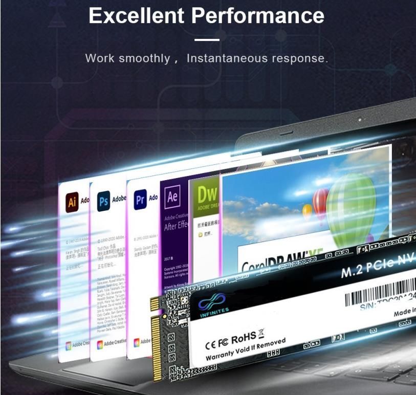 Retail 2tb SSD M. 2-2280 Fury Renegade Pcie4X4 Nvme Sfyrdk/2000g Solid State Disk (SSD) M. 2