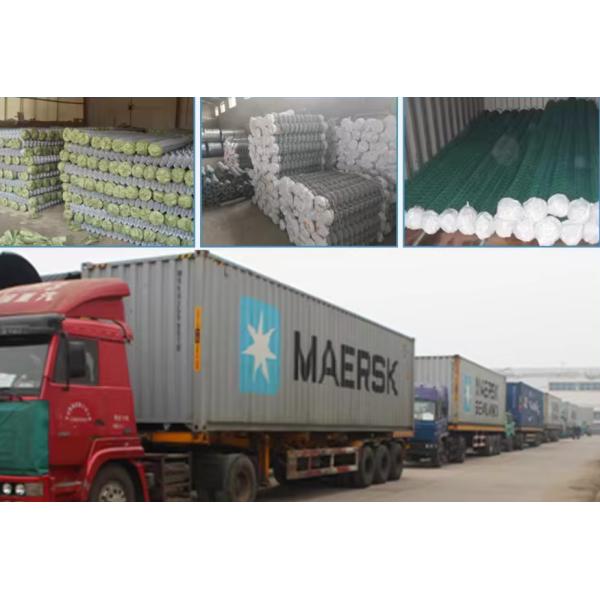 Security Type Hot Dipped Galvanized Chain Link Fence For Farm Garden