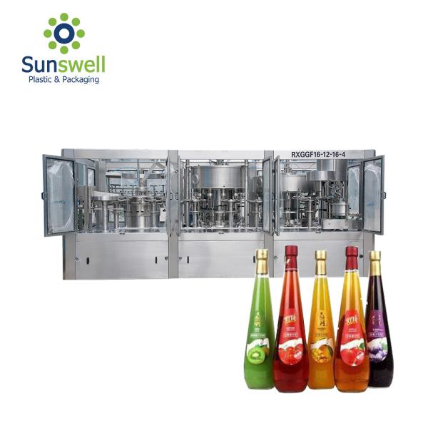 Cheap Sus Automatic Small Scale Juice Processing Machine Package Production Line for sale