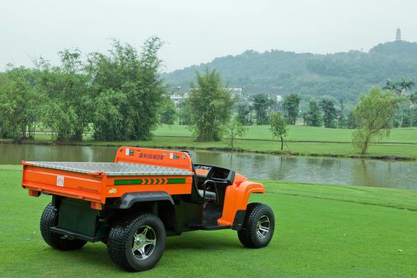 Cheap Farm Using 4x4 Utility Vehicle Dynamic Power EEC  Approval for sale