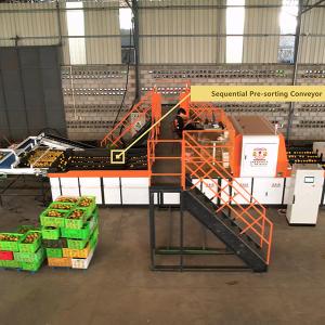 Best Revolutionizing Orange Sorting Machine With AI Deep Learning Technology wholesale