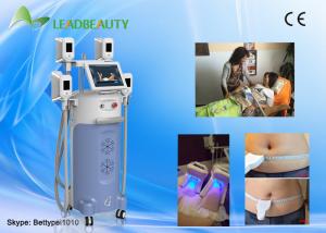 China Factory price cryolipolysis fat removal machine with two handls can work at the same time on sale