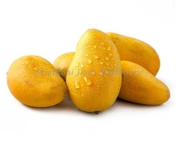 Cheap Durable Fruit Jam Production Line / Mango Juice Processing Line With Sterilization Machine for sale