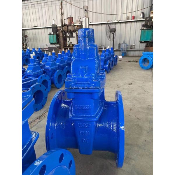 SABS 665 Non Rising Stem Gate Valve Soft Seal Gate Valve Blue