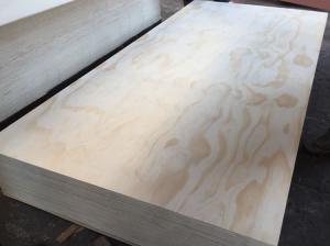 China Pine veneer plywood for export to Albania,kuwait,qatar,bahrain,Iraq.UAE on sale