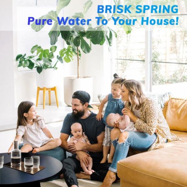 Solution Whole House Sediment Water Filter for Easy Installation and No Professional Assistance Required