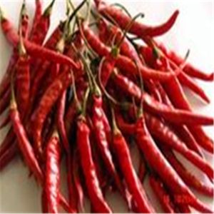 Best Chefs Delight Spicy Dried Birds Eye Chilli wholesale