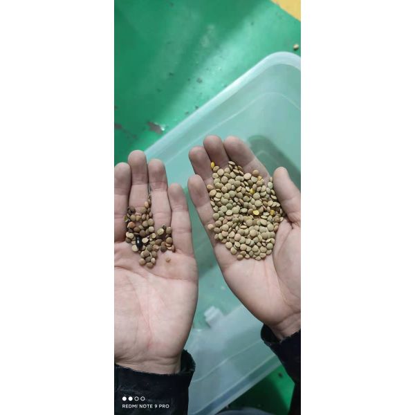 Dal Beans Color Sorter America FPGA Processing Chip For Pulse Color Separating