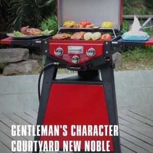 Thunderbird Portable Gas Grill For Outdoor Cooking And Grilling