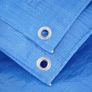 Best Heavy Weight PE Tarpaulin Fabric Tarp With Eyelets Blue Dust Resistant Boat Cover wholesale