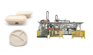 Best Fully Automatic Wood Pulp Food Serving Tray Production Line wholesale