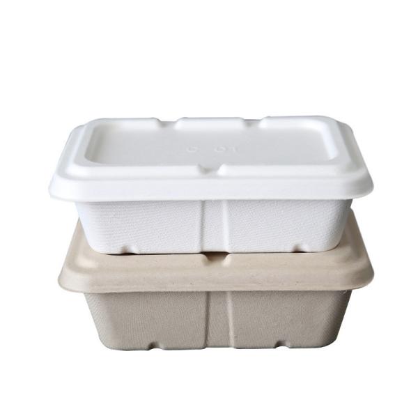 Cheap Factory 100% Biodegradable Compostable Bagasse Pulp Packaging Food Container for sale