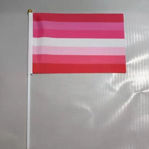 Best Printed Double Sided Pride Flag Hand Held 100% Polyester Material wholesale