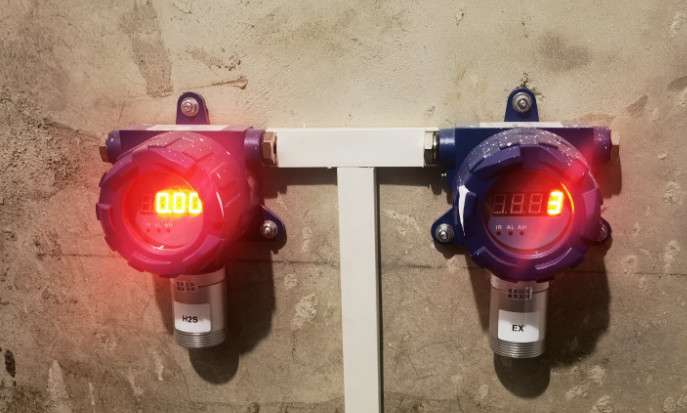 24-Hour Continuous Monitoring Fixed N2 Gas Detector With Remote Control And Alarm Function For The Freezing Area Food Factory