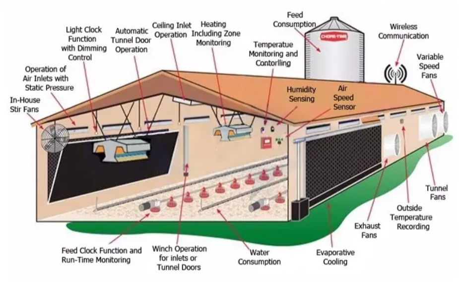 Steel structure chicken coop design and layout