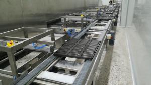 Best Vertical In Line Automatic Continuous Bread Dough Proofer wholesale