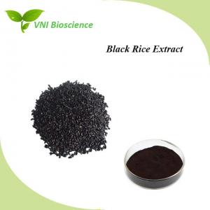 China Antioxidant Plant Herbal Extract Seed Black Rice Extract Powder Halal Certified on sale